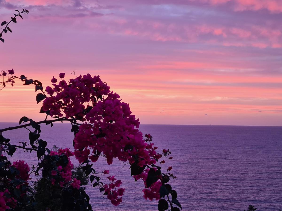 “Cielo E Mare”, Casetta Nel Cuore Del Borgo Antico / “Sky & Sea”, Charming In The Heart Of Old Village Castelsardo Dış mekan fotoğraf